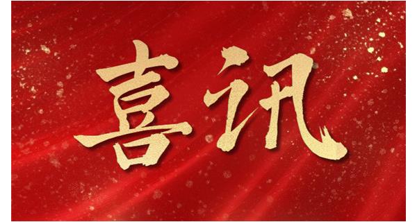 喜訊|建陽龍翔科技榮獲“南平市2024年度納稅成長型企業(yè)”和“科技創(chuàng)新優(yōu)秀企業(yè)”榮譽